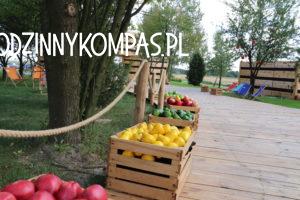 Baśniowe Sady Klemensa 2_atrakcje dla dzieci okolice Warszawy_rodzinnykompas.pl
