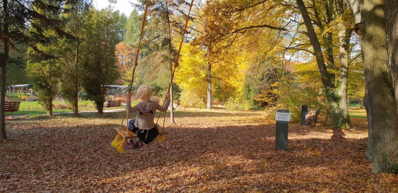 Arboretum w Rogowie - atrakcje dla dzieci okolice Warszawy - Rodzinny Kompas 10
