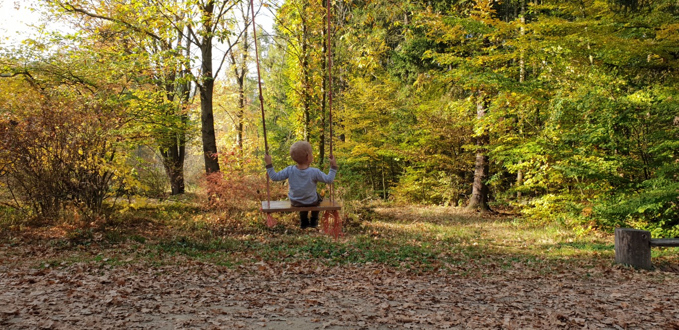 Arboretum w Rogowie - atrakcje dla dzieci okolice Warszawy - Rodzinny Kompas 11