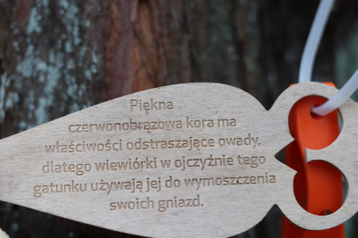 Arboretum w Rogowie - atrakcje dla dzieci okolice Warszawy - Rodzinny Kompas 9