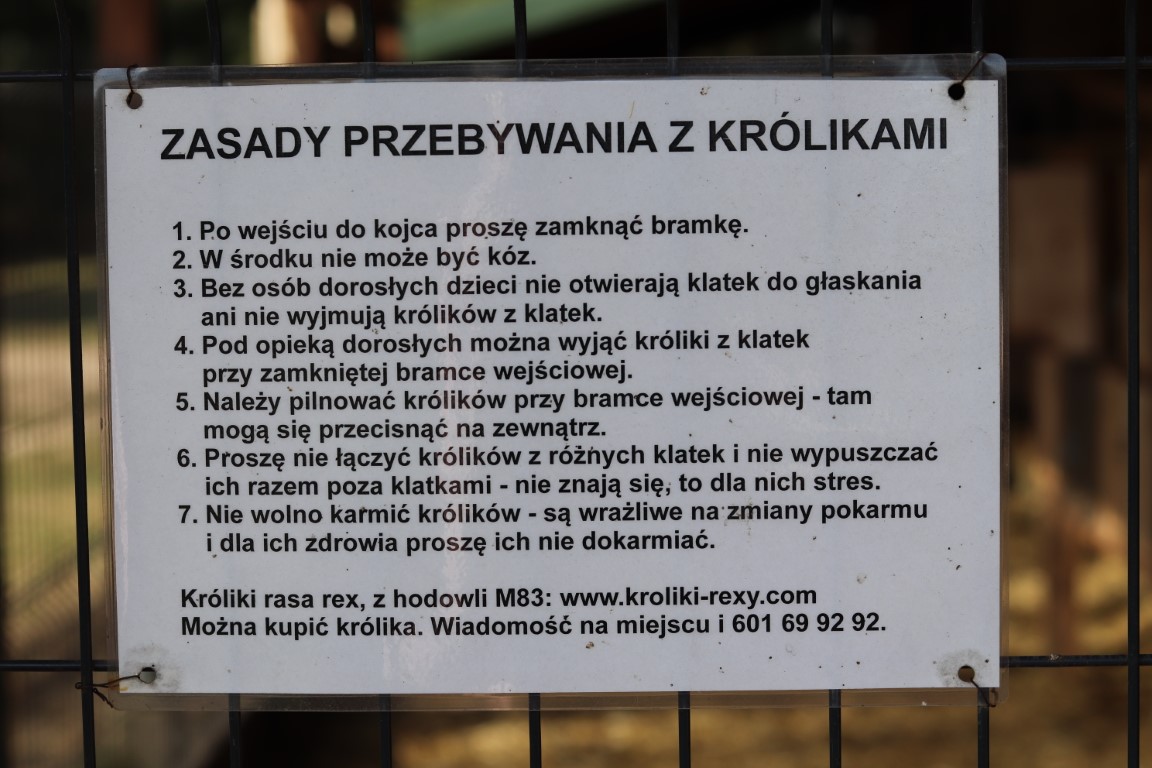 Willa Wilga - mini ZOO - atrakcje dla dzieci okolice Warszawy - atrakcje okolice Garwolina - Rodzinny Kompas 14