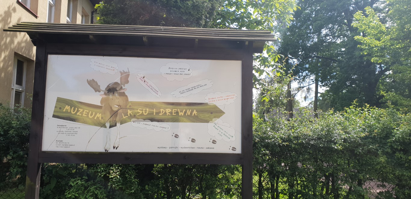 Arboretum w Rogowie - atrakcje dla dzieci okolice Łodzi - Rodzinny Kompas 18