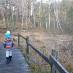 Goździkowe Bagno- spacer z dzieckiem - Rodzinny Kompas 1