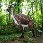 DinoPark - atrakcje dla dzieci Malbork - Rodzinny Kompas 7